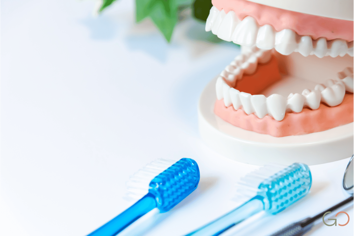 En este momento estás viendo Mantenimiento periodontal de soporte: cada cuánto hacer la limpieza profunda